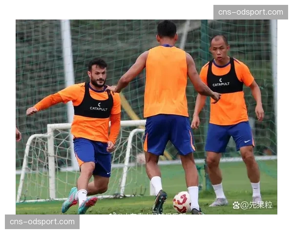 深度复盘：解析申花三中卫体系如何限制泰山队高空优势